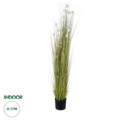 GloboStar® Artificial Garden ERIOPHORUM ANGUSTIFOLIUM COTTON GRASS 20074 Τεχνητό Διακοσμητικό Φυτό Γρασίδι του Βαμβακιού Υ170cm GloboStar® Artificial Garden ERIOPHORUM ANGUSTIFOLIUM COTTON GRASS 20074 Τεχνητό Διακοσμητικό Φυτό Γρασίδι του Βαμβακιού Υ170cm