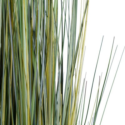 GloboStar® Artificial Garden ERIOPHORUM ANGUSTIFOLIUM COTTON GRASS 20074 Τεχνητό Διακοσμητικό Φυτό Γρασίδι του Βαμβακιού Υ170cm GloboStar® Artificial Garden ERIOPHORUM ANGUSTIFOLIUM COTTON GRASS 20074 Τεχνητό Διακοσμητικό Φυτό Γρασίδι του Βαμβακιού Υ170cm