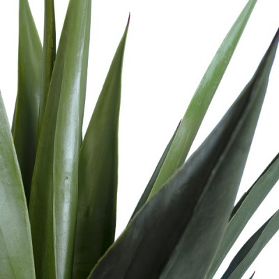 GloboStar® Artificial Garden SISAL AGAVE 20078 Τεχνητό Διακοσμητικό Φυτό Αγαύη Υ110cm Διακόσμηση - Φωτισμός - Χαλιά GloboStar® Artificial Garden SISAL AGAVE 20078 Τεχνητό Διακοσμητικό Φυτό Αγαύη Υ110cm Διακόσμηση - Φωτισμός - Χαλιά