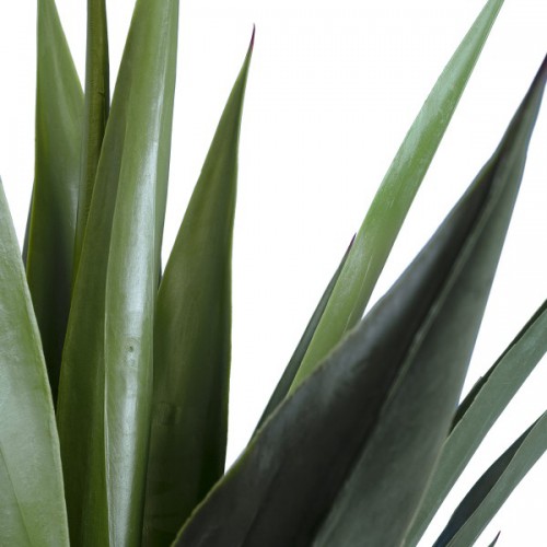 GloboStar® Artificial Garden SISAL AGAVE 20078 Τεχνητό Διακοσμητικό Φυτό Αγαύη Υ110cm Διακόσμηση - Φωτισμός - Χαλιά GloboStar® Artificial Garden SISAL AGAVE 20078 Τεχνητό Διακοσμητικό Φυτό Αγαύη Υ110cm Διακόσμηση - Φωτισμός - Χαλιά