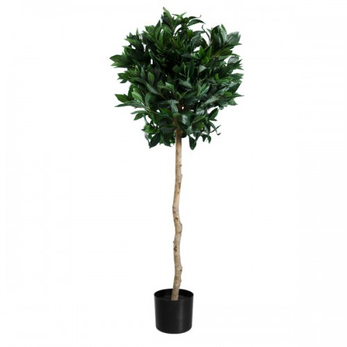 GloboStar® Artificial Garden LAUREL 20084 Τεχνητό Διακοσμητικό Φυτό Δάφνη Υ120cm Διακόσμηση - Φωτισμός - Χαλιά