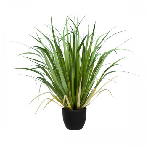 GloboStar® Artificial Garden ACORUS GRAMINEUS 20103 Τεχνητό Διακοσμητικό Φυτό Άκορος Υ90cm Διακόσμηση - Φωτισμός - Χαλιά GloboStar® Artificial Garden ACORUS GRAMINEUS 20103 Τεχνητό Διακοσμητικό Φυτό Άκορος Υ90cm Διακόσμηση - Φωτισμός - Χαλιά