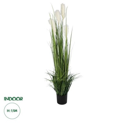 GloboStar® Artificial Garden PAMPAS GRASS 20106 Τεχνητό Διακοσμητικό Φυτό Γρασίδι της Πάμπας Υ150cm GloboStar® Artificial Garden PAMPAS GRASS 20106 Τεχνητό Διακοσμητικό Φυτό Γρασίδι της Πάμπας Υ150cm