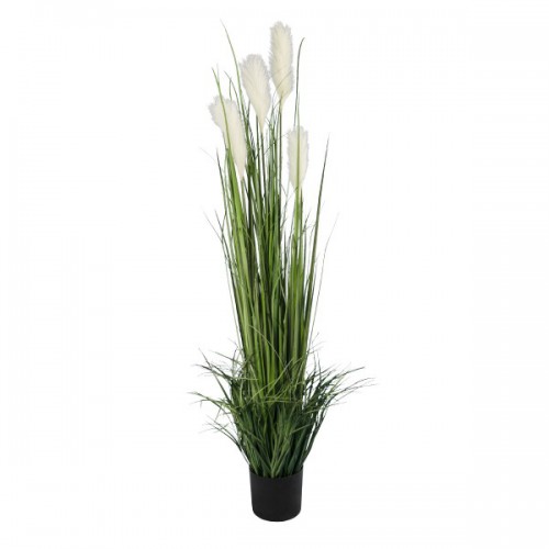 GloboStar® Artificial Garden PAMPAS GRASS 20106 Τεχνητό Διακοσμητικό Φυτό Γρασίδι της Πάμπας Υ150cm GloboStar® Artificial Garden PAMPAS GRASS 20106 Τεχνητό Διακοσμητικό Φυτό Γρασίδι της Πάμπας Υ150cm