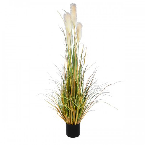 GloboStar® Artificial Garden PAMPAS GRASS 20108 Τεχνητό Διακοσμητικό Φυτό Γρασίδι της Πάμπας Υ150cm GloboStar® Artificial Garden PAMPAS GRASS 20108 Τεχνητό Διακοσμητικό Φυτό Γρασίδι της Πάμπας Υ150cm