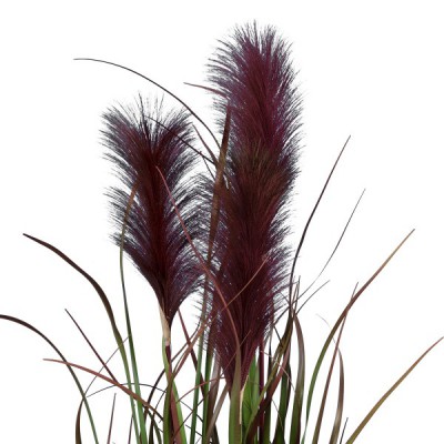 GloboStar® Artificial Garden BLOODY PAMPAS GRASS 20109 Τεχνητό Διακοσμητικό Φυτό Αιματόφυλλο Γρασίδι της Πάμπας Υ85cm GloboStar® Artificial Garden BLOODY PAMPAS GRASS 20109 Τεχνητό Διακοσμητικό Φυτό Αιματόφυλλο Γρασίδι της Πάμπας Υ85cm