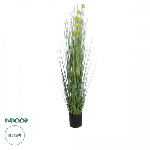 GloboStar® Artificial Garden CRASPEDIA GRASS 20112 Τεχνητό Διακοσμητικό Φυτό Κρασπέδια Υ150cm Διακόσμηση - Φωτισμός - Χαλιά GloboStar® Artificial Garden CRASPEDIA GRASS 20112 Τεχνητό Διακοσμητικό Φυτό Κρασπέδια Υ150cm Διακόσμηση - Φωτισμός - Χαλιά