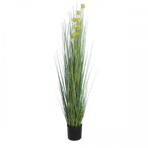 GloboStar® Artificial Garden CRASPEDIA GRASS 20112 Τεχνητό Διακοσμητικό Φυτό Κρασπέδια Υ150cm Διακόσμηση - Φωτισμός - Χαλιά GloboStar® Artificial Garden CRASPEDIA GRASS 20112 Τεχνητό Διακοσμητικό Φυτό Κρασπέδια Υ150cm Διακόσμηση - Φωτισμός - Χαλιά