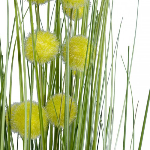 GloboStar® Artificial Garden CRASPEDIA GRASS 20112 Τεχνητό Διακοσμητικό Φυτό Κρασπέδια Υ150cm Διακόσμηση - Φωτισμός - Χαλιά GloboStar® Artificial Garden CRASPEDIA GRASS 20112 Τεχνητό Διακοσμητικό Φυτό Κρασπέδια Υ150cm Διακόσμηση - Φωτισμός - Χαλιά