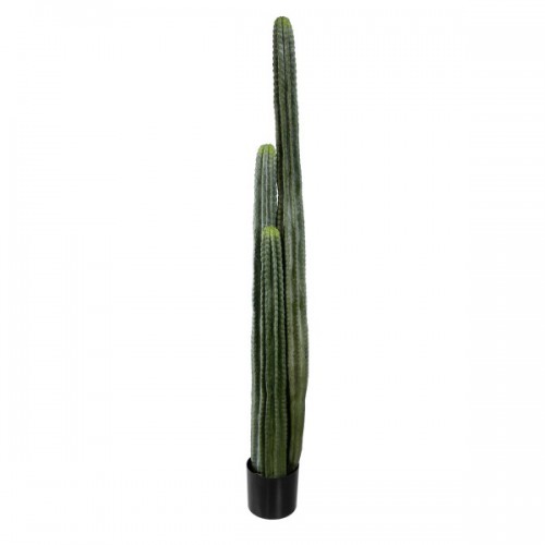 GloboStar® Artificial Garden CARNEGIEA CACTUS 20122 Τεχνητό Διακοσμητικό Φυτό Κάκτος Σαγκουάρο Υ150cm Διακόσμηση - Φωτισμός - Χαλιά GloboStar® Artificial Garden CARNEGIEA CACTUS 20122 Τεχνητό Διακοσμητικό Φυτό Κάκτος Σαγκουάρο Υ150cm Διακόσμηση - Φωτισμός - Χαλιά