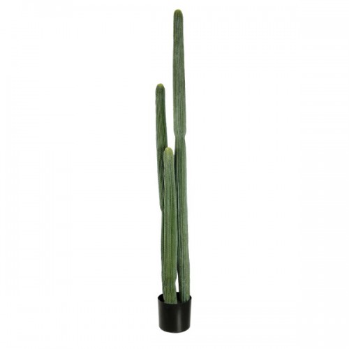 GloboStar® Artificial Garden CARNEGIEA CACTUS 20123 Τεχνητό Διακοσμητικό Φυτό Κάκτος Σαγκουάρο Υ160cm Διακόσμηση - Φωτισμός - Χαλιά GloboStar® Artificial Garden CARNEGIEA CACTUS 20123 Τεχνητό Διακοσμητικό Φυτό Κάκτος Σαγκουάρο Υ160cm Διακόσμηση - Φωτισμός - Χαλιά
