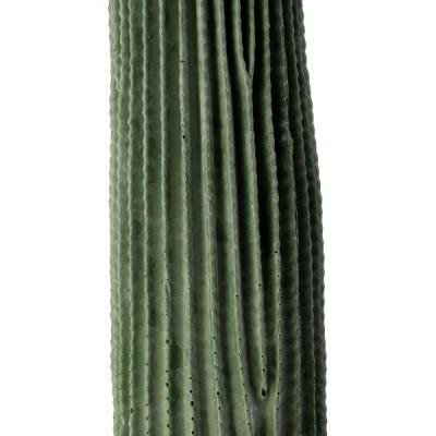 GloboStar® Artificial Garden CARNEGIEA CACTUS 20125 Τεχνητό Διακοσμητικό Φυτό Κάκτος Σαγκουάρο Υ85cm Διακόσμηση - Φωτισμός - Χαλιά GloboStar® Artificial Garden CARNEGIEA CACTUS 20125 Τεχνητό Διακοσμητικό Φυτό Κάκτος Σαγκουάρο Υ85cm Διακόσμηση - Φωτισμός - Χαλιά