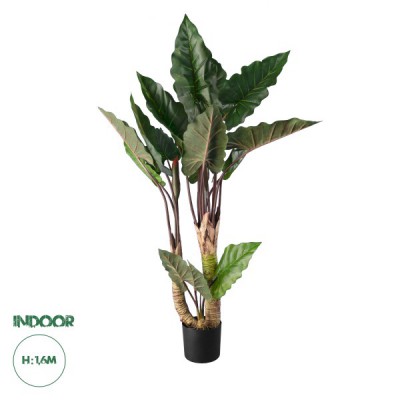 GloboStar® Artificial Garden RAINBOW TARO 20208 Τεχνητό Διακοσμητικό Φυτό Κολοκασία Υ160cm GloboStar® Artificial Garden RAINBOW TARO 20208 Τεχνητό Διακοσμητικό Φυτό Κολοκασία Υ160cm