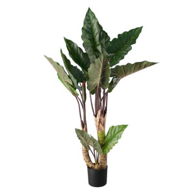 GloboStar® Artificial Garden RAINBOW TARO 20208 Τεχνητό Διακοσμητικό Φυτό Κολοκασία Υ160cm GloboStar® Artificial Garden RAINBOW TARO 20208 Τεχνητό Διακοσμητικό Φυτό Κολοκασία Υ160cm