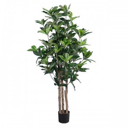 GloboStar® Artificial Garden FORTUNE GUIANA TREE 20056 Τεχνητό Διακοσμητικό Φυτό Καστανιά του Μαλαμπάρ Υ160cm Διακόσμηση - Φωτισμός - Χαλιά GloboStar® Artificial Garden FORTUNE GUIANA TREE 20056 Τεχνητό Διακοσμητικό Φυτό Καστανιά του Μαλαμπάρ Υ160cm Διακόσμηση - Φωτισμός - Χαλιά