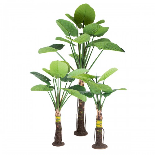 GloboStar® Artificial Garden TARO SET 20089 Τεχνητό Διακοσμητικό Σετ Φυτών Κολοκασία A:Υ300cm B:Υ210cm C:Υ160cm Διακόσμηση - Φως - Χαλιά