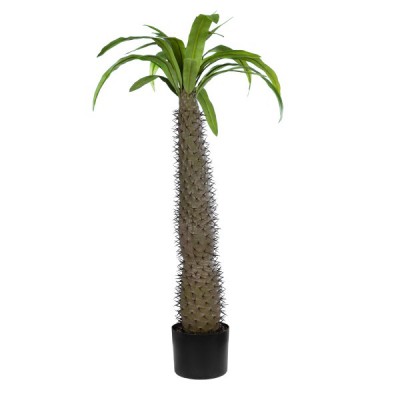 GloboStar® Artificial Garden PACHYPODIUM LAMEREI PALM TREE 20129 Τεχνητό Διακοσμητικό Φυτό Φοίνικας της Μαγαδασκάρης Υ105cm GloboStar® Artificial Garden PACHYPODIUM LAMEREI PALM TREE 20129 Τεχνητό Διακοσμητικό Φυτό Φοίνικας της Μαγαδασκάρης Υ105cm