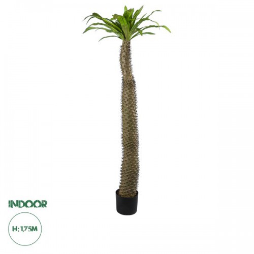 GloboStar® Artificial Garden PACHYPODIUM LAMEREI PALM TREE 20130 Τεχνητό Διακοσμητικό Φυτό Φοίνικας της Μαγαδασκάρης Υ175cm GloboStar® Artificial Garden PACHYPODIUM LAMEREI PALM TREE 20130 Τεχνητό Διακοσμητικό Φυτό Φοίνικας της Μαγαδασκάρης Υ175cm