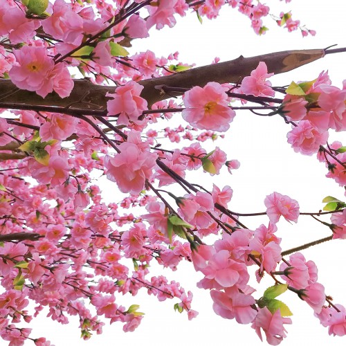 GloboStar® Artificial Garden PEACH BLOSSOM TREE 20159 Τεχνητό Διακοσμητικό Δέντρο Ανθισμένη Ροδακινιά Υ340cm GloboStar® Artificial Garden PEACH BLOSSOM TREE 20159 Τεχνητό Διακοσμητικό Δέντρο Ανθισμένη Ροδακινιά Υ340cm