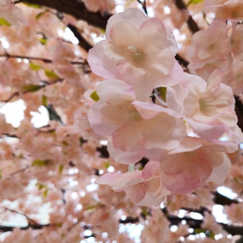 GloboStar® Artificial Garden CHERRY PRUNUS BLOSSOM TREE 20167 Τεχνητό Διακοσμητικό Δέντρο Άνθος Κερασιάς Προύμνη Υ400cm GloboStar® Artificial Garden CHERRY PRUNUS BLOSSOM TREE 20167 Τεχνητό Διακοσμητικό Δέντρο Άνθος Κερασιάς Προύμνη Υ400cm