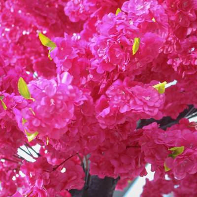 GloboStar® Artificial Garden CHERRY BLOSSOM TREE 20185 Τεχνητό Διακοσμητικό Δέντρο Βουκαμβίλια Άνθος Κερασιάς Υ320cm GloboStar® Artificial Garden CHERRY BLOSSOM TREE 20185 Τεχνητό Διακοσμητικό Δέντρο Βουκαμβίλια Άνθος Κερασιάς Υ320cm