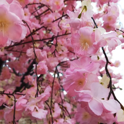 GloboStar® Artificial Garden CHERRY BLOSSOM TREE 20212 Τεχνητό Διακοσμητικό Δέντρο Άνθος Κερασιάς Υ300cm GloboStar® Artificial Garden CHERRY BLOSSOM TREE 20212 Τεχνητό Διακοσμητικό Δέντρο Άνθος Κερασιάς Υ300cm