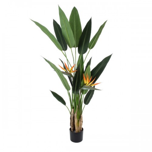 GloboStar® Artificial Garden STRELITZIA REGINAE 20032 Τεχνητό Διακοσμητικό Φυτό Στρελίτσια - Πουλί του Παραδείσου Υ140cm Διακόσμηση - Φωτισμός - Χαλιά GloboStar® Artificial Garden STRELITZIA REGINAE 20032 Τεχνητό Διακοσμητικό Φυτό Στρελίτσια - Πουλί του Παραδείσου Υ140cm Διακόσμηση - Φωτισμός - Χαλιά