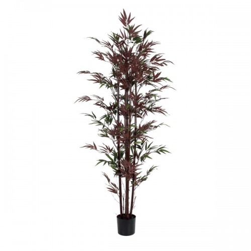 GloboStar® Artificial Garden BLOODLEAF BAMBOO 20039 Τεχνητό Διακοσμητικό Φυτό Αιματόφυλλο Μπαμπού Υ170cm Διακόσμηση - Φωτισμός - Χαλιά GloboStar® Artificial Garden BLOODLEAF BAMBOO 20039 Τεχνητό Διακοσμητικό Φυτό Αιματόφυλλο Μπαμπού Υ170cm Διακόσμηση - Φωτισμός - Χαλιά