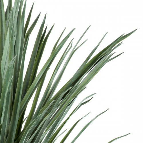 GloboStar® Artificial Garden BEAUCARNEA PALM TREE 20046 Τεχνητό Διακοσμητικό Φυτό Κυρτόφυλλος Μπουκαρνέα Υ165cm Διακόσμηση - Φωτισμός - Χαλιά GloboStar® Artificial Garden BEAUCARNEA PALM TREE 20046 Τεχνητό Διακοσμητικό Φυτό Κυρτόφυλλος Μπουκαρνέα Υ165cm Διακόσμηση - Φωτισμός - Χαλιά