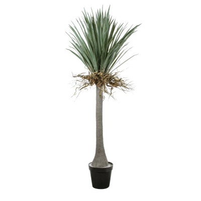GloboStar® Artificial Garden BEAUCARNEA PALM TREE 20047 Τεχνητό Διακοσμητικό Φυτό Κυρτόφυλλος Μπουκαρνέα Υ200cm GloboStar® Artificial Garden BEAUCARNEA PALM TREE 20047 Τεχνητό Διακοσμητικό Φυτό Κυρτόφυλλος Μπουκαρνέα Υ200cm