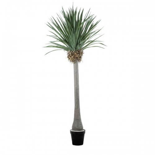 GloboStar® Artificial Garden BEAUCARNEA PALM TREE 20048 Τεχνητό Διακοσμητικό Φυτό Κυρτόφυλλος Μπουκαρνέα Υ250cm Διακόσμηση - Φωτισμός - Χαλιά GloboStar® Artificial Garden BEAUCARNEA PALM TREE 20048 Τεχνητό Διακοσμητικό Φυτό Κυρτόφυλλος Μπουκαρνέα Υ250cm Διακόσμηση - Φωτισμός - Χαλιά