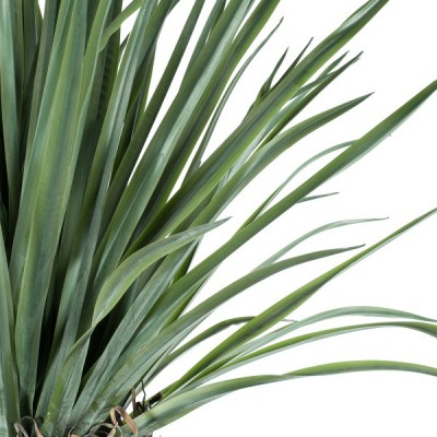 GloboStar® Artificial Garden BEAUCARNEA PALM TREE 20048 Τεχνητό Διακοσμητικό Φυτό Κυρτόφυλλος Μπουκαρνέα Υ250cm Διακόσμηση - Φωτισμός - Χαλιά GloboStar® Artificial Garden BEAUCARNEA PALM TREE 20048 Τεχνητό Διακοσμητικό Φυτό Κυρτόφυλλος Μπουκαρνέα Υ250cm Διακόσμηση - Φωτισμός - Χαλιά