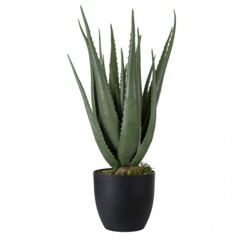 GloboStar® Artificial Garden ALOE 20066 Τεχνητό Διακοσμητικό Φυτό Αλόη Υ65cm Διακόσμηση - Φωτισμός - Χαλιά GloboStar® Artificial Garden ALOE 20066 Τεχνητό Διακοσμητικό Φυτό Αλόη Υ65cm Διακόσμηση - Φωτισμός - Χαλιά