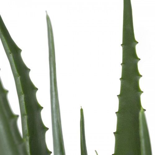 GloboStar® Artificial Garden ALOE 20066 Τεχνητό Διακοσμητικό Φυτό Αλόη Υ65cm Διακόσμηση - Φωτισμός - Χαλιά GloboStar® Artificial Garden ALOE 20066 Τεχνητό Διακοσμητικό Φυτό Αλόη Υ65cm Διακόσμηση - Φωτισμός - Χαλιά