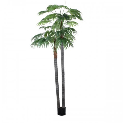 GloboStar® Artificial Garden PALM TREE 20086 Τεχνητό Διακοσμητικό Φυτό Φοινικόδεντρο Βεντάλια Υ300cm Διακόσμηση - Φωτισμός - Χαλιά GloboStar® Artificial Garden PALM TREE 20086 Τεχνητό Διακοσμητικό Φυτό Φοινικόδεντρο Βεντάλια Υ300cm Διακόσμηση - Φωτισμός - Χαλιά
