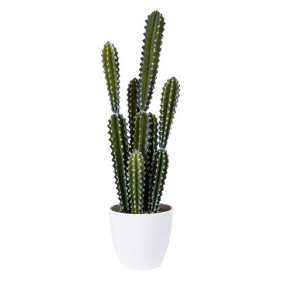 GloboStar® Artificial Garden CEREUS JAMACARU CACTUS 20095 Τεχνητό Διακοσμητικό Φυτό Κάκτος Κηρίος Υ71cm GloboStar® Artificial Garden CEREUS JAMACARU CACTUS 20095 Τεχνητό Διακοσμητικό Φυτό Κάκτος Κηρίος Υ71cm