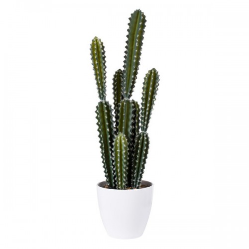 GloboStar® Artificial Garden CEREUS JAMACARU CACTUS 20095 Τεχνητό Διακοσμητικό Φυτό Κάκτος Κηρίος Υ71cm Διακόσμηση - Φωτισμός - Χαλιά GloboStar® Artificial Garden CEREUS JAMACARU CACTUS 20095 Τεχνητό Διακοσμητικό Φυτό Κάκτος Κηρίος Υ71cm Διακόσμηση - Φωτισμός - Χαλιά