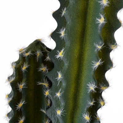 GloboStar® Artificial Garden CEREUS JAMACARU CACTUS 20095 Τεχνητό Διακοσμητικό Φυτό Κάκτος Κηρίος Υ71cm Διακόσμηση - Φωτισμός - Χαλιά GloboStar® Artificial Garden CEREUS JAMACARU CACTUS 20095 Τεχνητό Διακοσμητικό Φυτό Κάκτος Κηρίος Υ71cm Διακόσμηση - Φωτισμός - Χαλιά