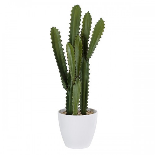 GloboStar® Artificial Garden CEREUS JAMACARU CACTUS 20099 Τεχνητό Διακοσμητικό Φυτό Κάκτος Κηρίος Υ66cm Διακόσμηση - Φωτισμός - Χαλιά GloboStar® Artificial Garden CEREUS JAMACARU CACTUS 20099 Τεχνητό Διακοσμητικό Φυτό Κάκτος Κηρίος Υ66cm Διακόσμηση - Φωτισμός - Χαλιά