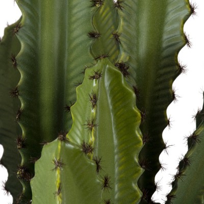 GloboStar® Artificial Garden CEREUS JAMACARU CACTUS 20099 Τεχνητό Διακοσμητικό Φυτό Κάκτος Κηρίος Υ66cm Διακόσμηση - Φωτισμός - Χαλιά GloboStar® Artificial Garden CEREUS JAMACARU CACTUS 20099 Τεχνητό Διακοσμητικό Φυτό Κάκτος Κηρίος Υ66cm Διακόσμηση - Φωτισμός - Χαλιά