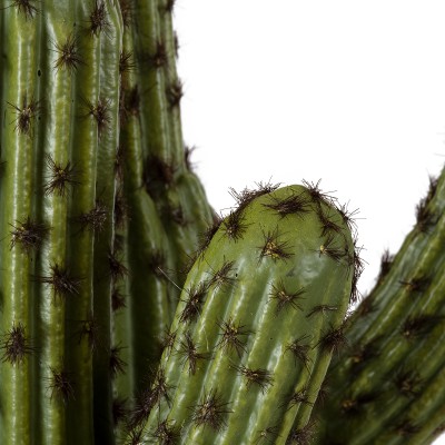 GloboStar® Artificial Garden CARNEGIEA CACTUS 20100 Τεχνητό Διακοσμητικό Φυτό Κάκτος Σαγκουάρο Υ63cm Διακόσμηση - Φως - Χαλιά GloboStar® Artificial Garden CARNEGIEA CACTUS 20100 Τεχνητό Διακοσμητικό Φυτό Κάκτος Σαγκουάρο Υ63cm Διακόσμηση - Φως - Χαλιά