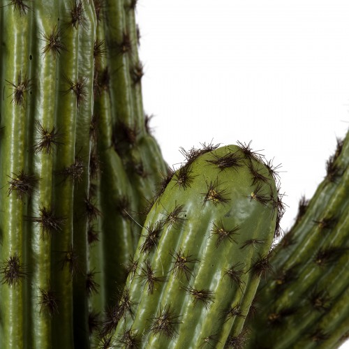 GloboStar® Artificial Garden CARNEGIEA CACTUS 20100 Τεχνητό Διακοσμητικό Φυτό Κάκτος Σαγκουάρο Υ63cm Διακόσμηση - Φως - Χαλιά GloboStar® Artificial Garden CARNEGIEA CACTUS 20100 Τεχνητό Διακοσμητικό Φυτό Κάκτος Σαγκουάρο Υ63cm Διακόσμηση - Φως - Χαλιά