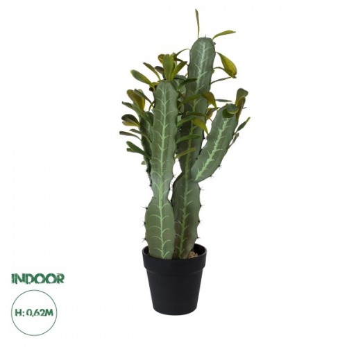 GloboStar® Artificial Garden CEREUS JAMACARU CACTUS 20102 Τεχνητό Διακοσμητικό Φυτό Κάκτος Κηρίος Υ62cm Διακόσμηση - Φωτισμός - Χαλιά GloboStar® Artificial Garden CEREUS JAMACARU CACTUS 20102 Τεχνητό Διακοσμητικό Φυτό Κάκτος Κηρίος Υ62cm Διακόσμηση - Φωτισμός - Χαλιά