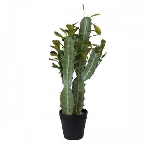 GloboStar® Artificial Garden CEREUS JAMACARU CACTUS 20102 Τεχνητό Διακοσμητικό Φυτό Κάκτος Κηρίος Υ62cm Διακόσμηση - Φωτισμός - Χαλιά GloboStar® Artificial Garden CEREUS JAMACARU CACTUS 20102 Τεχνητό Διακοσμητικό Φυτό Κάκτος Κηρίος Υ62cm Διακόσμηση - Φωτισμός - Χαλιά