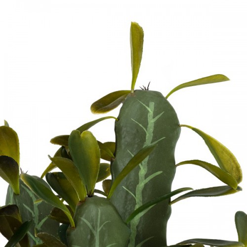 GloboStar® Artificial Garden CEREUS JAMACARU CACTUS 20102 Τεχνητό Διακοσμητικό Φυτό Κάκτος Κηρίος Υ62cm Διακόσμηση - Φωτισμός - Χαλιά GloboStar® Artificial Garden CEREUS JAMACARU CACTUS 20102 Τεχνητό Διακοσμητικό Φυτό Κάκτος Κηρίος Υ62cm Διακόσμηση - Φωτισμός - Χαλιά