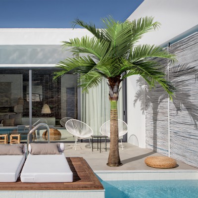 GloboStar® Artificial Garden COCONUT PALM TREE 20169 Τεχνητό Διακοσμητικό Φυτό Φοινικόδεντρο Κοκοφοίνικας Εξωτερικού Χώρου IP68 UV Certified Protection Υ400cm GloboStar® Artificial Garden COCONUT PALM TREE 20169 Τεχνητό Διακοσμητικό Φυτό Φοινικόδεντρο Κοκοφοίνικας Εξωτερικού Χώρου IP68 UV Certified Protection Υ400cm