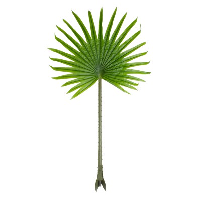 GloboStar® Artificial Garden SERENOA PALM LEAF 20172 Τεχνητό Διακοσμητικό Φύλο Φοινικόδεντρου Σερενόα Βεντάλια Π77 x Υ140cm GloboStar® Artificial Garden SERENOA PALM LEAF 20172 Τεχνητό Διακοσμητικό Φύλο Φοινικόδεντρου Σερενόα Βεντάλια Π77 x Υ140cm