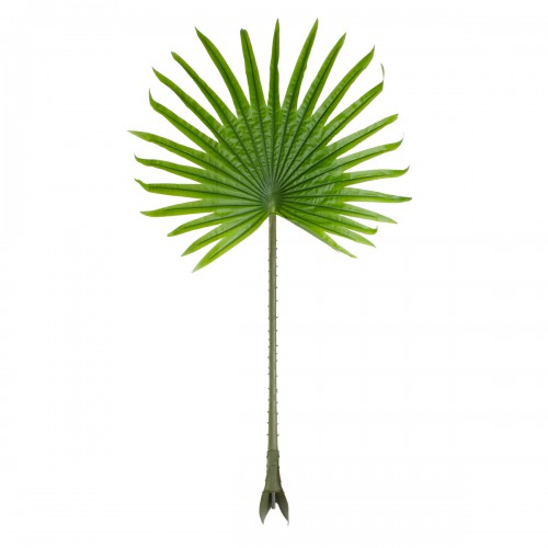 GloboStar® Artificial Garden SERENOA PALM LEAF 20172 Τεχνητό Διακοσμητικό Φύλο Φοινικόδεντρου Σερενόα Βεντάλια Π77 x Υ140cm GloboStar® Artificial Garden SERENOA PALM LEAF 20172 Τεχνητό Διακοσμητικό Φύλο Φοινικόδεντρου Σερενόα Βεντάλια Π77 x Υ140cm