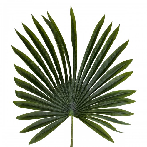 GloboStar® Artificial Garden SERENOA PALM LEAF 20173 Τεχνητό Διακοσμητικό Φύλο Φοινικόδεντρου Σερενόα Βεντάλια Π47 x Υ120cm GloboStar® Artificial Garden SERENOA PALM LEAF 20173 Τεχνητό Διακοσμητικό Φύλο Φοινικόδεντρου Σερενόα Βεντάλια Π47 x Υ120cm
