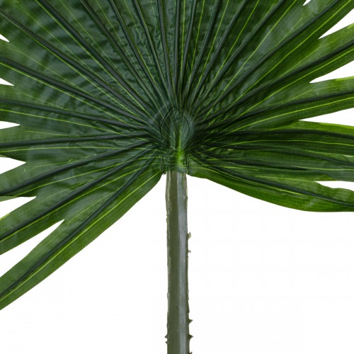 GloboStar® Artificial Garden SERENOA PALM LEAF 20174 Τεχνητό Διακοσμητικό Φύλο Φοινικόδεντρου Σερενόα Βεντάλια Π90 x Υ170cm GloboStar® Artificial Garden SERENOA PALM LEAF 20174 Τεχνητό Διακοσμητικό Φύλο Φοινικόδεντρου Σερενόα Βεντάλια Π90 x Υ170cm
